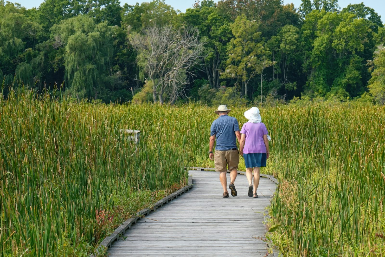 Two active older adults walking together along a boardwalk through coastal wetlands